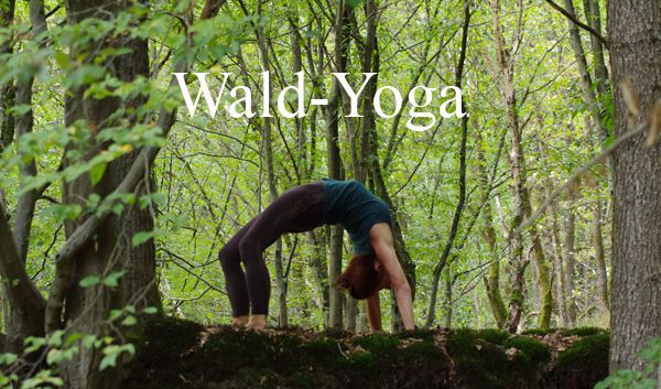 Wald-Yoga